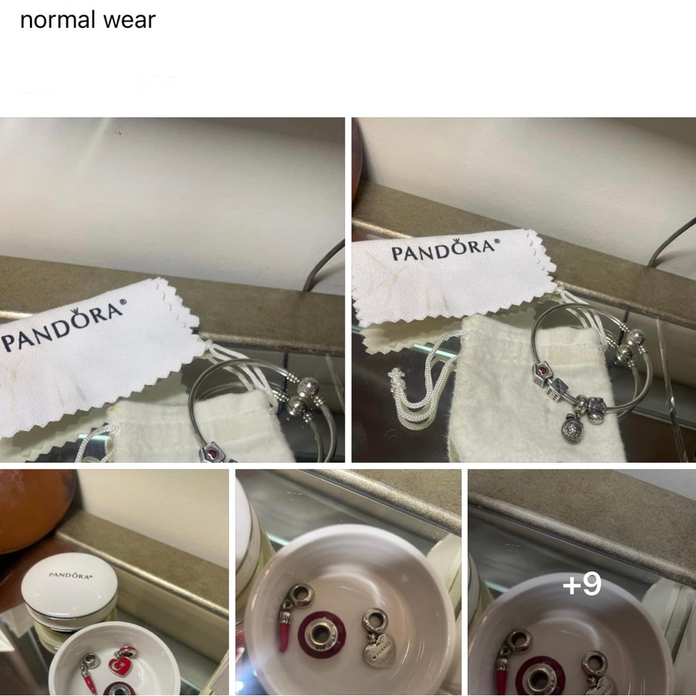Pandora Bangle with 6 charms, a cleaning cloth and Ceramic Pandora Box